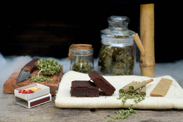 Master the Art of Growing Your Own Cannabis with These Pro Tips