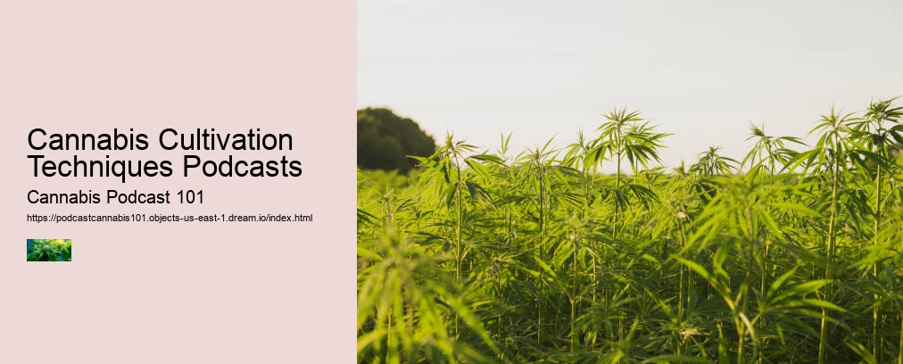 Cannabis Cultivation Techniques Podcasts