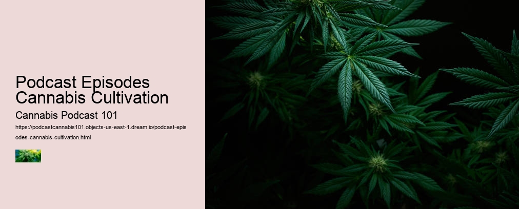 Podcast Episodes Cannabis Cultivation